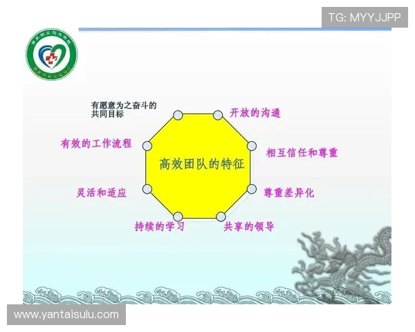 北京排球队个人能力提升之路与团队协作的完美结合探讨